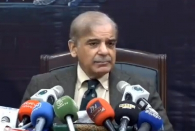 Shehbaz Sharif govt appointed an 'ally of terrorist groups' as Interior Minister, claims opposition | Shehbaz Sharif govt appointed an 'ally of terrorist groups' as Interior Minister, claims opposition