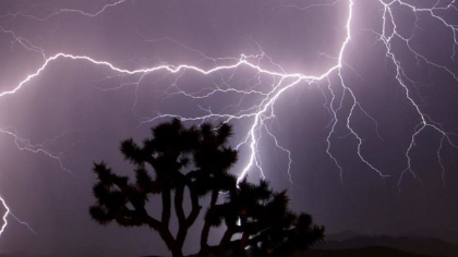 10 killed in lightning strike in Odisha | 10 killed in lightning strike in Odisha 10 killed in lightning strike in Odisha | 10 killed in lightning strike in Odisha