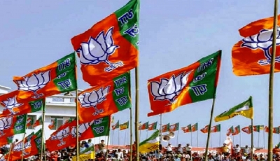Delhi MCD polls: BJP national leaders to hold 14 road shows | Delhi MCD polls: BJP national leaders to hold 14 road shows