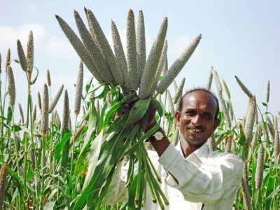 TN to form millet special zones | TN to form millet special zones