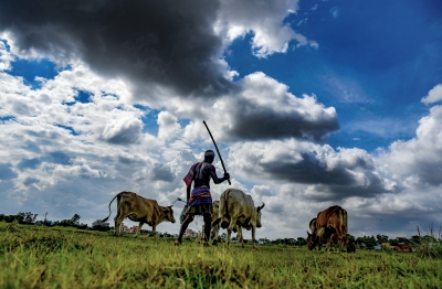 Punjab taps agro residues to speed up lean energy transition | Punjab taps agro residues to speed up lean energy transition