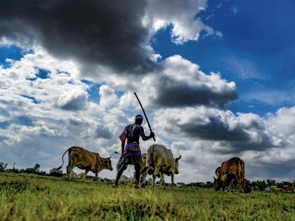 TN to appoint agricultural scientists to guide, support farmers | TN to appoint agricultural scientists to guide, support farmers