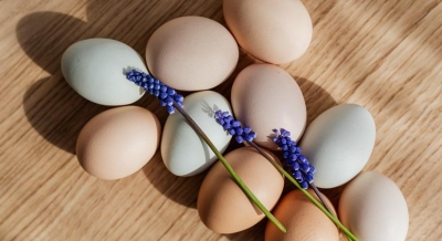 Are you eating an egg-cellent breakfast? | Are you eating an egg-cellent breakfast?