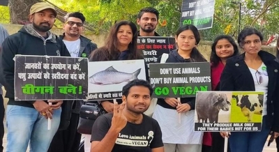International Animal Rights Day: Laws against animal cruelty need to be stricter | International Animal Rights Day: Laws against animal cruelty need to be stricter International Animal Rights Day: Laws against animal cruelty need to be stricter | International Animal Rights Day: Laws against animal cruelty need to be stricter