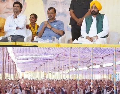 Gujarat made up mind to give mandate to AAP: Punjab CM | Gujarat made up mind to give mandate to AAP: Punjab CM