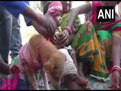 Tribal community in Odisha marries two children to dog | Tribal community in Odisha marries two children to dog