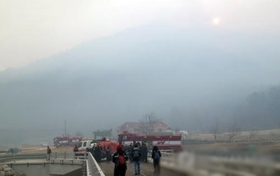 Wildfires scorch S.Korea's east coast | Wildfires scorch S.Korea's east coast