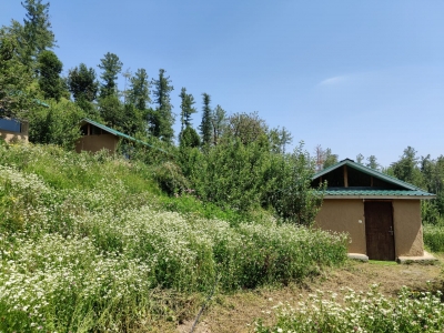 Warm home-stays preferred destination in Himachal amid pandemic | Warm home-stays preferred destination in Himachal amid pandemic