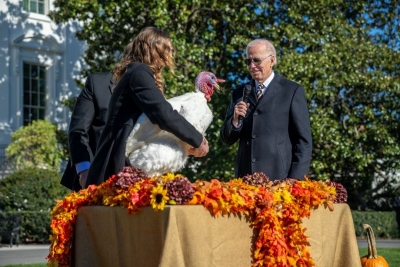Biden pardons Thanksgiving turkeys | Biden pardons Thanksgiving turkeys