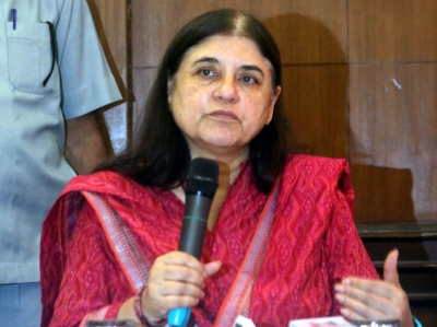 Animals can't transmit COVID-19, stop creating panic: Maneka Gandhi | Animals can't transmit COVID-19, stop creating panic: Maneka Gandhi Animals can't transmit COVID-19, stop creating panic: Maneka Gandhi | Animals can't transmit COVID-19, stop creating panic: Maneka Gandhi