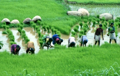 Govt may announce farm loan waiver scheme in Budget | Govt may announce farm loan waiver scheme in Budget