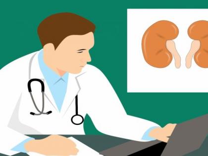 Study links impaired kidney function with cognitive disorders | Study links impaired kidney function with cognitive disorders Study links impaired kidney function with cognitive disorders | Study links impaired kidney function with cognitive disorders