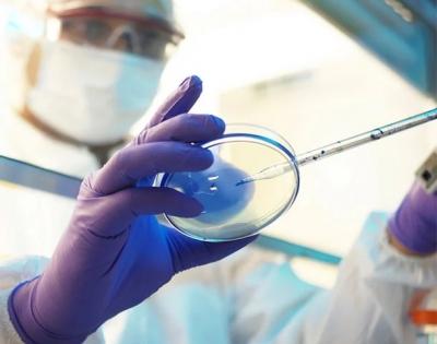 Antibody-based therapy shows promise against lethal mucormycosis | Antibody-based therapy shows promise against lethal mucormycosis Antibody-based therapy shows promise against lethal mucormycosis | Antibody-based therapy shows promise against lethal mucormycosis