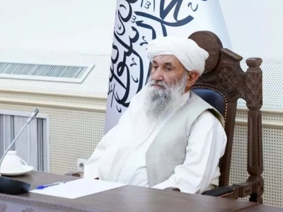 Taliban's appeal to Muslim nations to recognise their govt likely to fail | Taliban's appeal to Muslim nations to recognise their govt likely to fail
