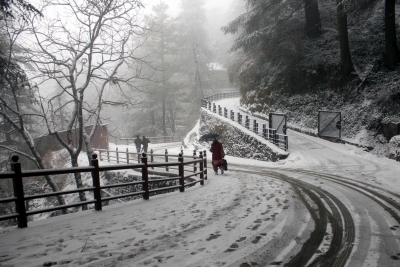 Snowfall in Shimla, Kufri cheers hoteliers | Snowfall in Shimla, Kufri cheers hoteliers Snowfall in Shimla, Kufri cheers hoteliers | Snowfall in Shimla, Kufri cheers hoteliers