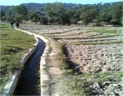 Tradition kuhl irrigation technique boosts Kangra farmers' produce and profits | Tradition kuhl irrigation technique boosts Kangra farmers' produce and profits
