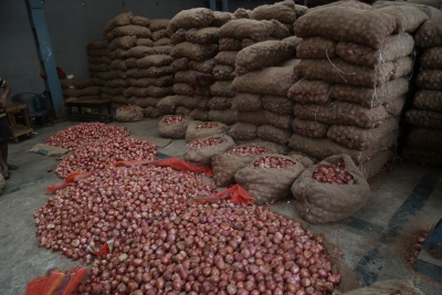 Punjab to set up centre of excellence for onion with Dutch assistance | Punjab to set up centre of excellence for onion with Dutch assistance Punjab to set up centre of excellence for onion with Dutch assistance | Punjab to set up centre of excellence for onion with Dutch assistance