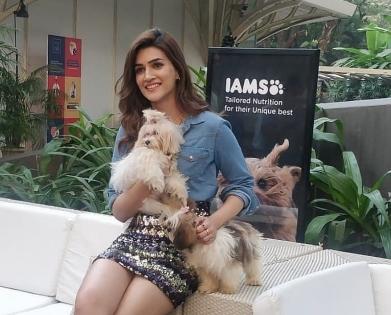 Kriti Sanon: Social media is the most toxic place | Kriti Sanon: Social media is the most toxic place