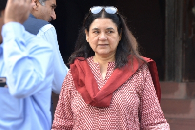 Conversation between Maneka Gandhi, businessman goes viral over treatment of animals | Conversation between Maneka Gandhi, businessman goes viral over treatment of animals