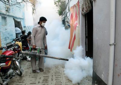 Islamabad witnesses continuous increase of dengue cases | Islamabad witnesses continuous increase of dengue cases