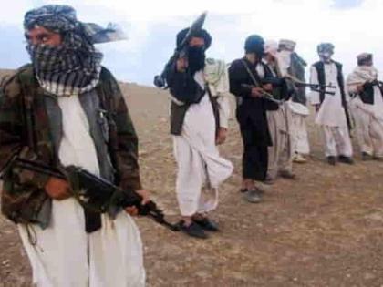 Taliban burns musical intruments, claims music 'causes moral corruption' | Taliban burns musical intruments, claims music 'causes moral corruption'