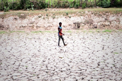 Just 55 pc water in reservoirs in TN’s drought-prone districts; farmers asked to switch crops | Just 55 pc water in reservoirs in TN’s drought-prone districts; farmers asked to switch crops