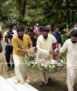 'Pawsome wedding': Acid and Jhanvi 'tie knot' at plush resort | 'Pawsome wedding': Acid and Jhanvi 'tie knot' at plush resort
