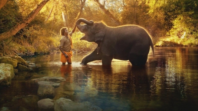 Oscar-winning 'Elephant Whisperers' shot at Theppakadu camp, oldest in Asia | Oscar-winning 'Elephant Whisperers' shot at Theppakadu camp, oldest in Asia