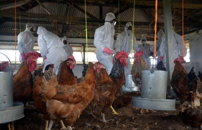 China sees 2 human cases of bird flu | China sees 2 human cases of bird flu