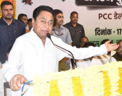 MP urban body polls: New entrant AAP bags 7 seats, BJP dents Kamal Nath's bastion Chhindwara | MP urban body polls: New entrant AAP bags 7 seats, BJP dents Kamal Nath's bastion Chhindwara