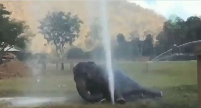 This jumbo has a way with water sprinkler | This jumbo has a way with water sprinkler