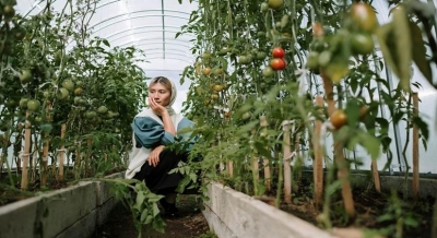 The right way to adapt to organic farming | The right way to adapt to organic farming