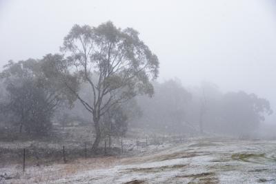 Snow, heatwave coincide in Australia | Snow, heatwave coincide in Australia