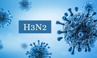 UP health officials on alert as H3N2 cases rise | UP health officials on alert as H3N2 cases rise