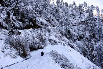 Shimla gets season's first snowfall | Shimla gets season's first snowfall Shimla gets season's first snowfall | Shimla gets season's first snowfall