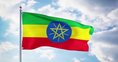 Ethiopia "neutralizes" 170 suspected rebels: state media | Ethiopia "neutralizes" 170 suspected rebels: state media