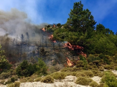 Wildfires rage across Turkish resort towns, force evacuations | Wildfires rage across Turkish resort towns, force evacuations