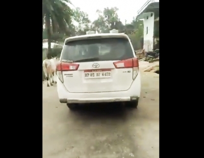 Purported video of booze party in MP minister's car goes viral | Purported video of booze party in MP minister's car goes viral