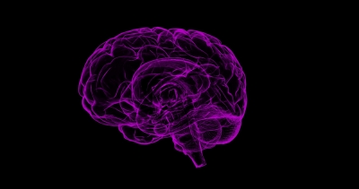 Researchers develop AI algorithm to spot brain injuries | Researchers develop AI algorithm to spot brain injuries