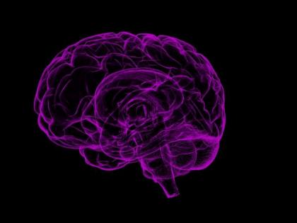 Indian-origin scientists identify 11 risk factors for developing dementia | Indian-origin scientists identify 11 risk factors for developing dementia Indian-origin scientists identify 11 risk factors for developing dementia | Indian-origin scientists identify 11 risk factors for developing dementia