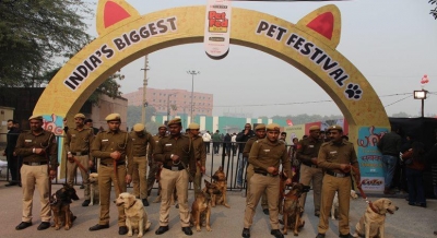 India's Biggest Pet Festival is back after 3 years in Delhi | India's Biggest Pet Festival is back after 3 years in Delhi