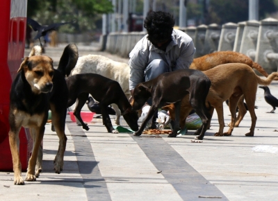 UP temple revokes order against feeding stray dog on premises | UP temple revokes order against feeding stray dog on premises