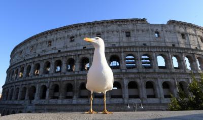 Italy begins new phase of COVID-19 fight | Italy begins new phase of COVID-19 fight Italy begins new phase of COVID-19 fight | Italy begins new phase of COVID-19 fight