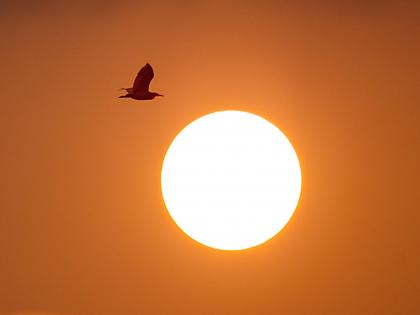 Artificially dimming the Sun may not help prevent Antarctic ice melt: Study | Artificially dimming the Sun may not help prevent Antarctic ice melt: Study Artificially dimming the Sun may not help prevent Antarctic ice melt: Study | Artificially dimming the Sun may not help prevent Antarctic ice melt: Study