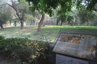 Delhi Zoo makes in-house arrangements for feeding its inmates | Delhi Zoo makes in-house arrangements for feeding its inmates