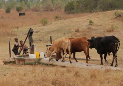World Bank warns Zimbabwe on climate-induced economic losses | World Bank warns Zimbabwe on climate-induced economic losses World Bank warns Zimbabwe on climate-induced economic losses | World Bank warns Zimbabwe on climate-induced economic losses