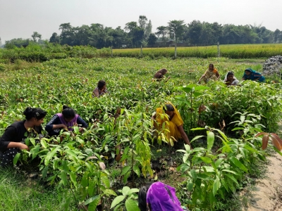 FM gives major thrust to boost farmers’ incomes, aims for self-reliance in oilseeds | FM gives major thrust to boost farmers’ incomes, aims for self-reliance in oilseeds FM gives major thrust to boost farmers’ incomes, aims for self-reliance in oilseeds | FM gives major thrust to boost farmers’ incomes, aims for self-reliance in oilseeds