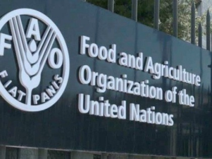 Public investment in agri-food systems up 22% in 2022: FAO report | Public investment in agri-food systems up 22% in 2022: FAO report