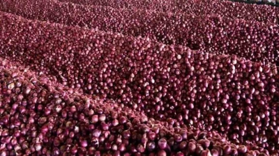Export of certain onion varieties in limited quantities allowed | Export of certain onion varieties in limited quantities allowed