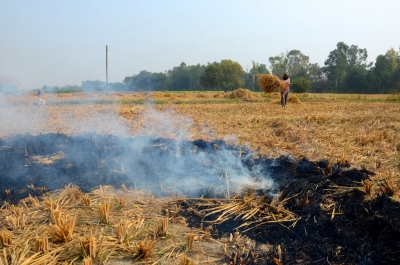 Fix MSP for stubble, Hooda asks Haryana govt | Fix MSP for stubble, Hooda asks Haryana govt Fix MSP for stubble, Hooda asks Haryana govt | Fix MSP for stubble, Hooda asks Haryana govt